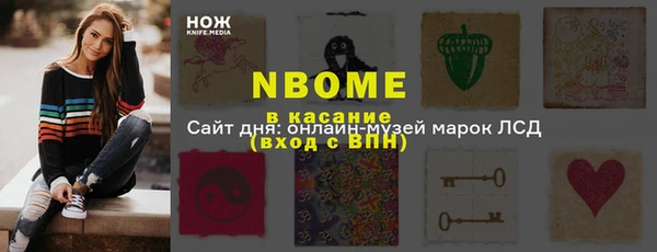 гидра Богородск