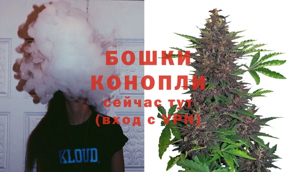 спайс Богородицк
