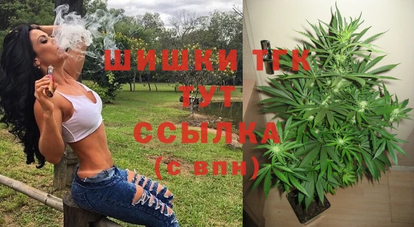 гидропоника Белокуриха