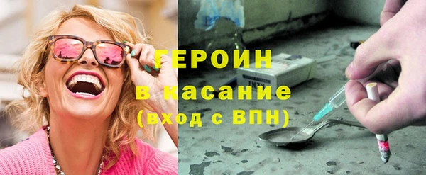 гидра Богородск